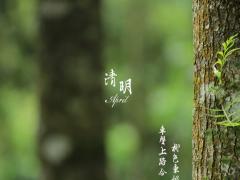 清明节生日的人好不好 农历生日和清明节恰巧一天好吗
