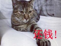 一旦分手 就追不回来的星座